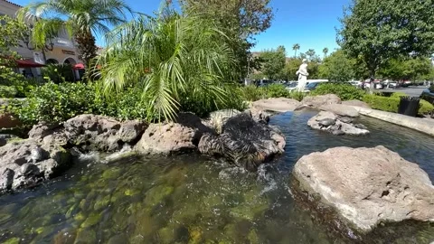 Turtle Pond Mid shot Stock Footage 213369803
