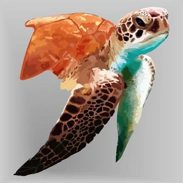 Turtle realistic hand drawn vector and illustrations white backgrounds Stock Illustration