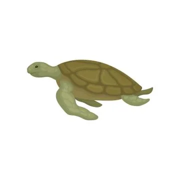 Turtle reptile animal side view vector Illustration on a white background Stock Illustration