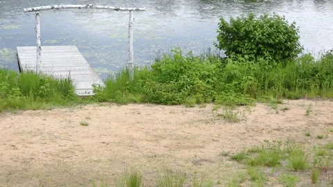Turtle Returns Toward Deckside Lake, Nesting Complete Stock Footage 325634329