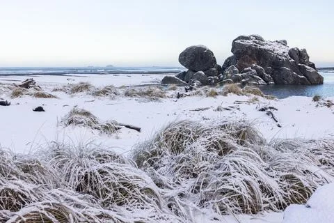 Turtle rock with snow Stock Photos