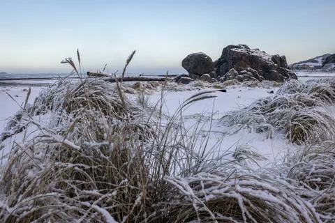 Turtle rock with snow 写真素材