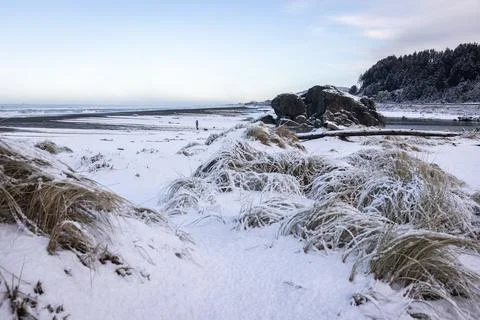 Turtle rock with snow Stock Photos