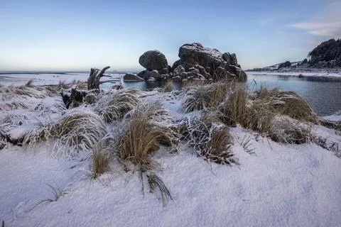 Turtle rock with snow Stock Photos
