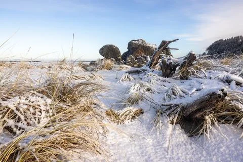 Turtle rock with snow Stock Photos