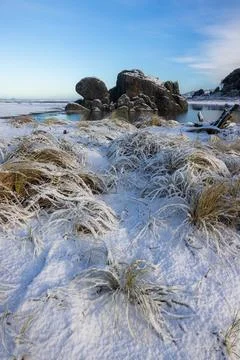 Turtle rock with snow Stock Photos