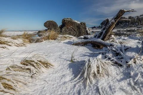 Turtle rock with snow Stock Photos