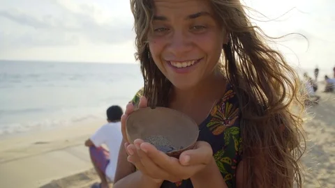 Turtle sanctuary Stock Footage 81179226