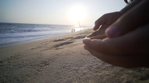 Turtle sanctuary Stock Footage 81183460