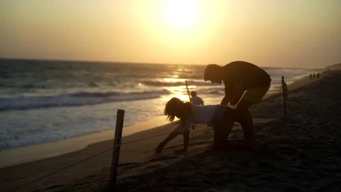 Turtle sanctuary Stock-Footage 81184740