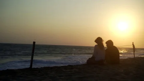 Turtle sanctuary Video stock 81184972