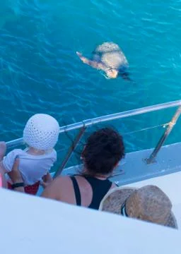 Turtle in the sea Stock Photos