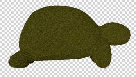 Turtle shaped garden hedges Stock Photos