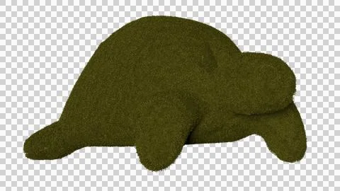 Turtle shaped garden hedges Stock Photos