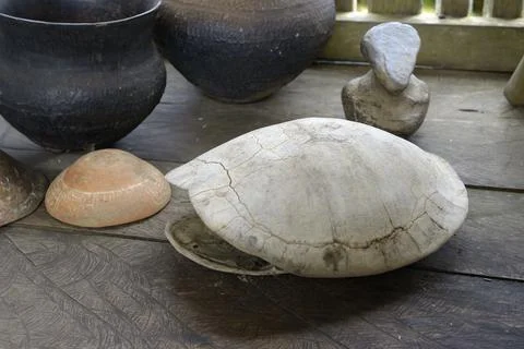 Turtle shell and cooking vessels, Kichwa community of Sani Isla in the Ecuado Stock Photos