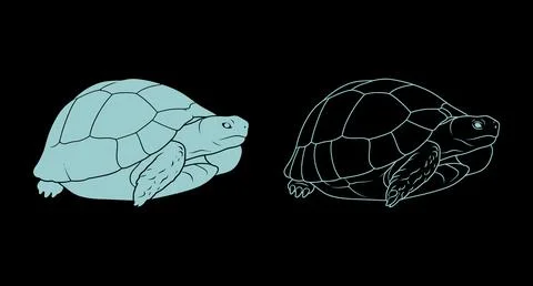 Turtle shell profile silhouette and line art outline on black background Stockillustratie