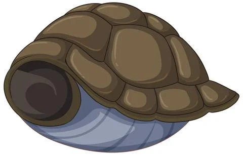 Turtle Shell Vector Illustration Illustrazione stock