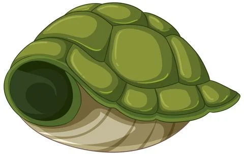 Turtle Shell Vector Illustration Stock Illustration