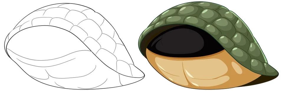Turtle Shell Vector Illustration Illustrazione stock