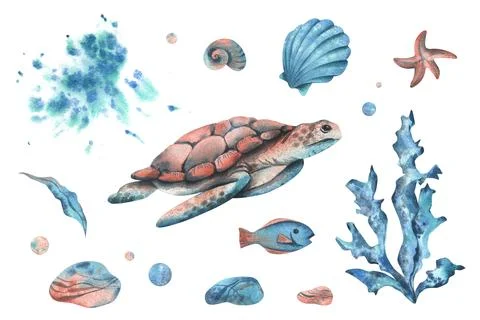 Turtle, shells, starfish, fish, bubbles, pebbles and other sea animals and 스톡 일러스트