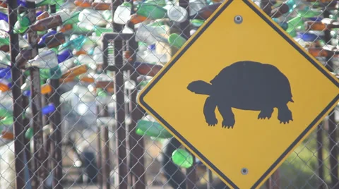 Turtle sign Bottle Trees Stock Footage 33047231