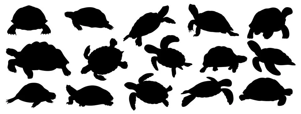Turtle silhouette Stock Illustration