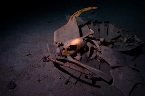 Turtle skeleton with skull underwater inside cave Stock Photos