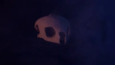 Turtle Skull Smoke Neon Side Lighting 4K 動画素材 97454111