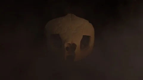 Turtle Skull Smoke Soft Lighting 4K 動画素材 97453615