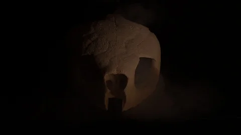 Turtle Skull Smoke Split Lighting 4K 動画素材 97453816