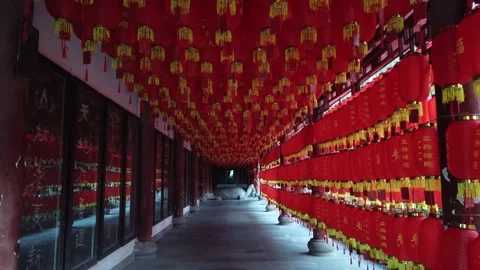 Turtle statue and Chinese lanterns in Wenshu monastery Stock Footage 169495343