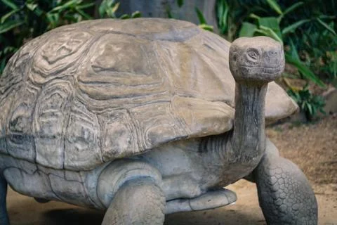 Turtle statue Stock Photos