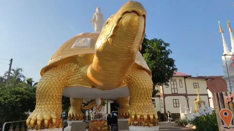 Turtle statue in way Pong Sunan Stock Footage 221880332