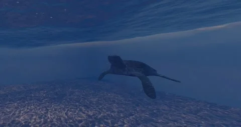 Turtle suffocates by plastic bag environmental pollution problem 3d animation Stock Footage 247072708