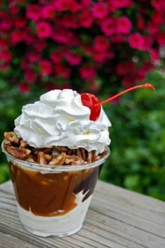 Turtle Sundae Stock Photos