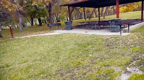 Turtle superwide shot 库存影片 10608453