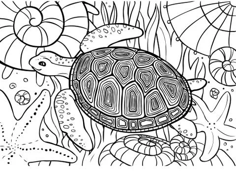 Turtle swim, coloring page with shells, starfish and seaweed Stock Illustration