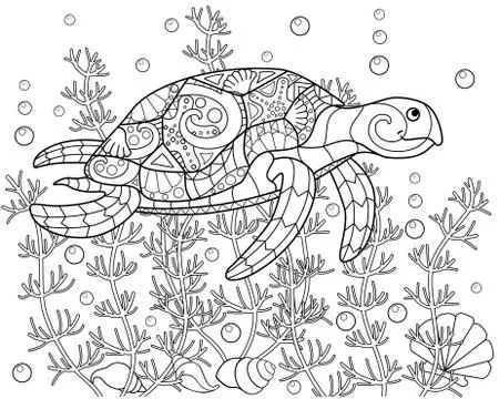 Turtle swimming among algae, shells and bulbs - vector linear horizontal Stock Illustration