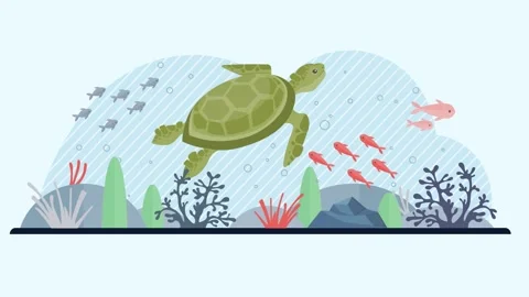 Turtle swimming in a coral reef, accompanied by colorful fish, showcasing marine Stock Footage 304967904