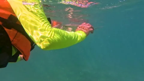 Turtle swimming in the ocean Stock Footage 230183853