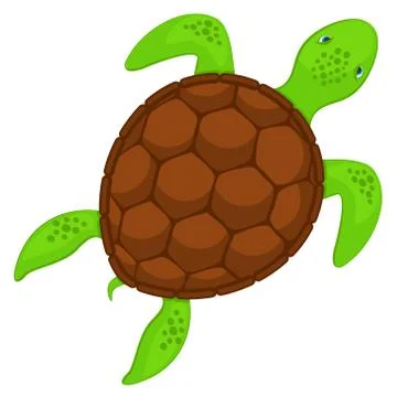 Turtle swimming on a white background. The view from top. Stock Illustration