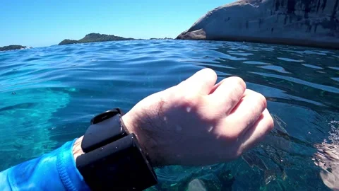 A turtle swims in the open ocean. Clear water Vídeos de archivo 191570913