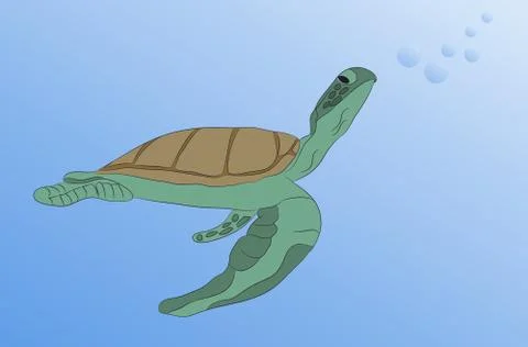 Turtle swims under water, vector Illustrazione stock
