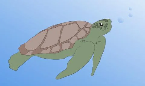 Turtle swims under water, vector 스톡 일러스트