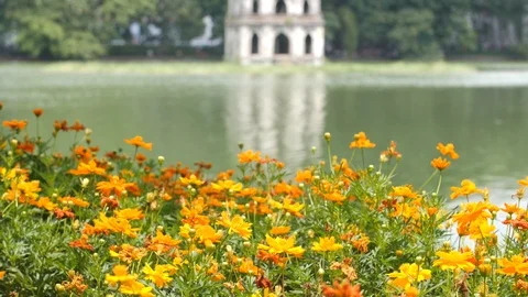 Turtle temple in Hanoi Stock Footage 118897089