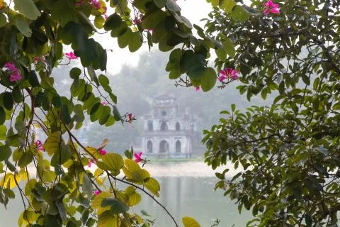 Turtle tower through leaves and flowers in Hoan Kiem lake Stock Photos