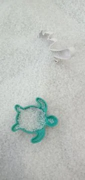 Turtle Toy Buried Stock Photos