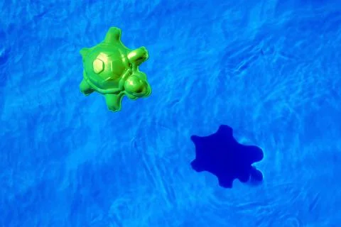 Turtle toy in a pool Stock Photos
