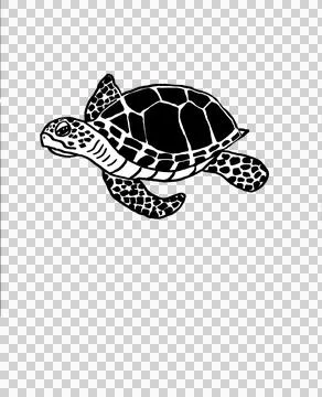 Turtle with transparent background white and black Stock Illustration