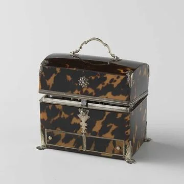 . Turtle travel tortoise, high rectangular model with bombed lid with silv... Stock Photos